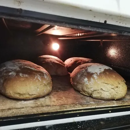 بيت شباب Zickerreith Almhutte