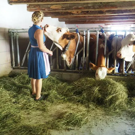 Zickerreith Almhutte * Rosenau am Hengstpass