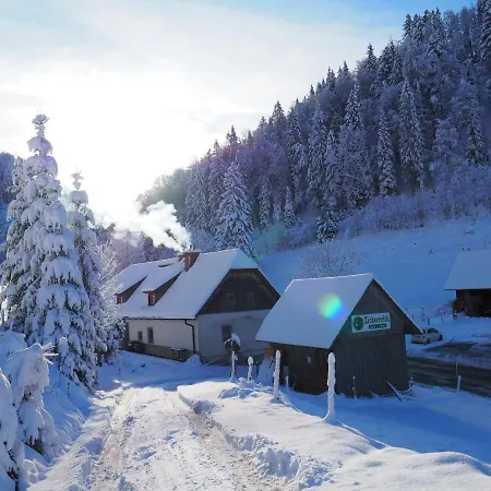 Zickerreith Almhutte بيت شباب Rosenau am Hengstpass