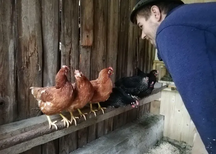 Zickerreith Almhütte Rosenau am Hengstpass