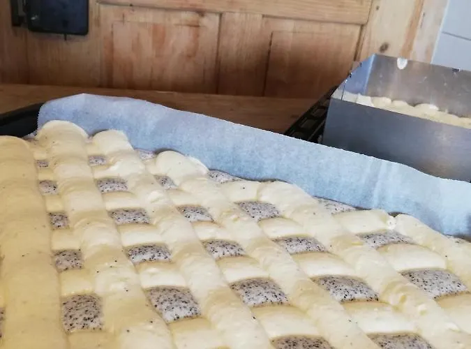 Zickerreith Almhutte بيت شباب