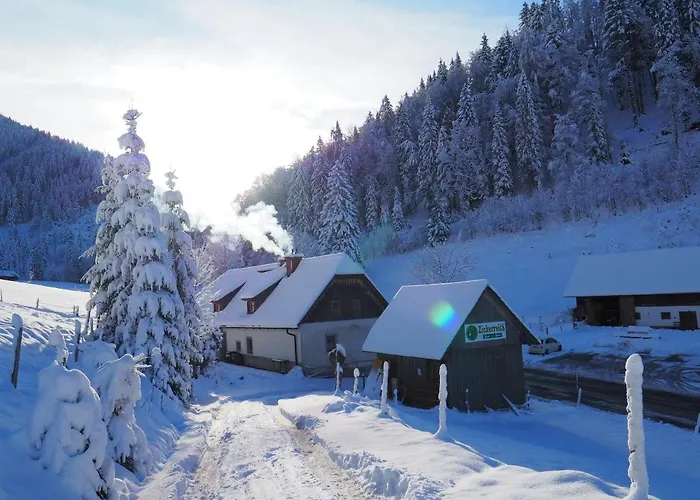 Zickerreith Almhutte بيت شباب Rosenau am Hengstpass