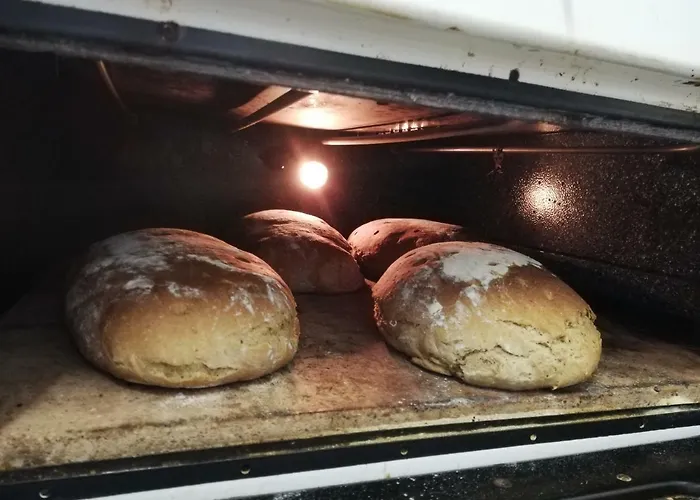 אכסניה Zickerreith Almhutte